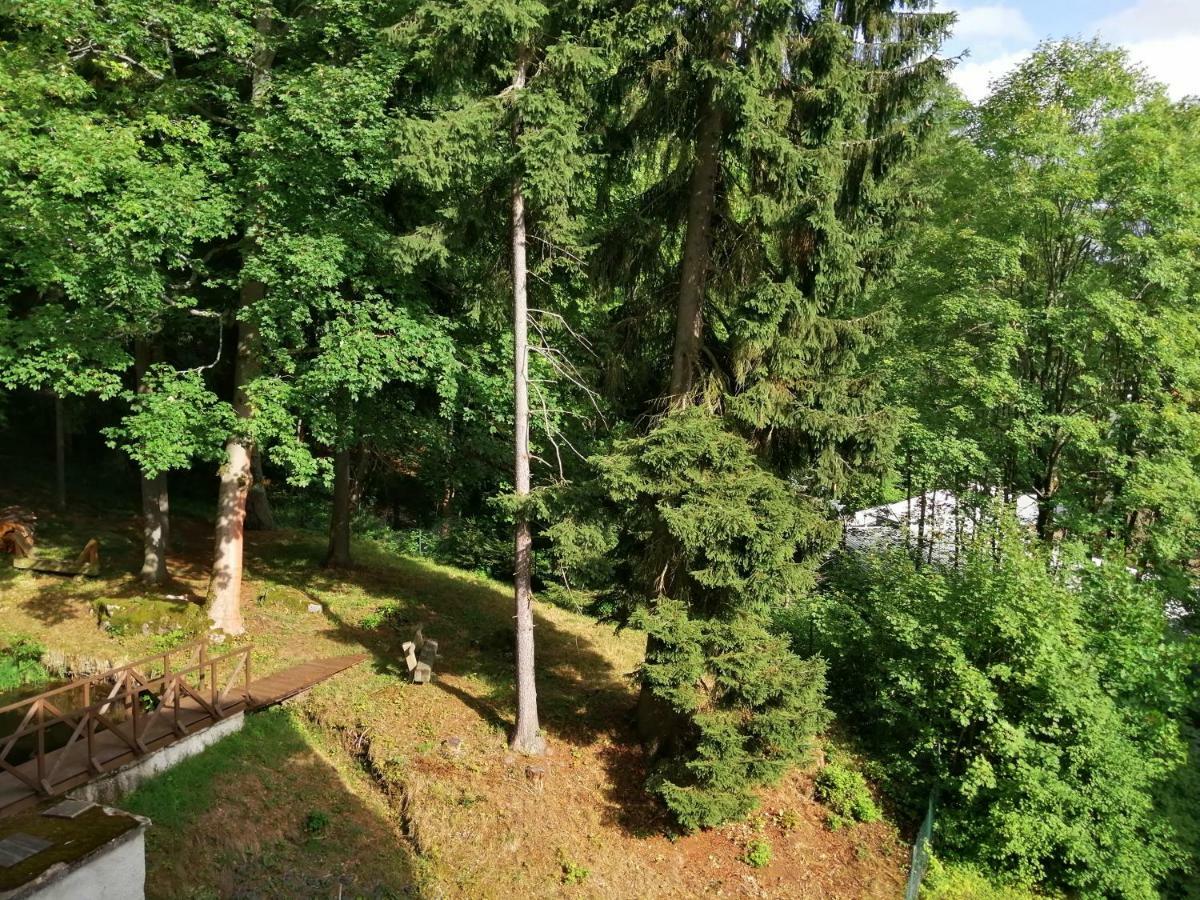 Parkhotel Forest 4*